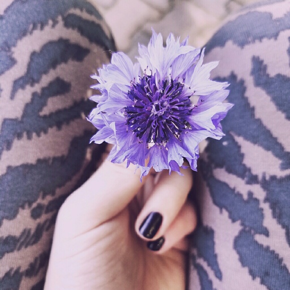 Meet your Posher! - Picture 2 of 4