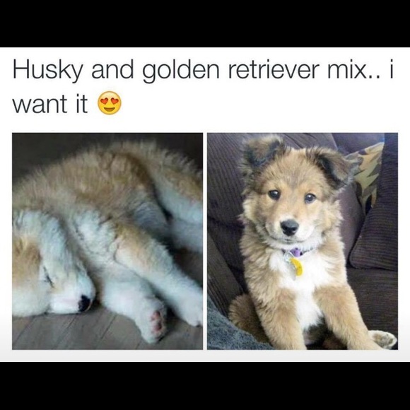 Meet your Posher, Kyleigh