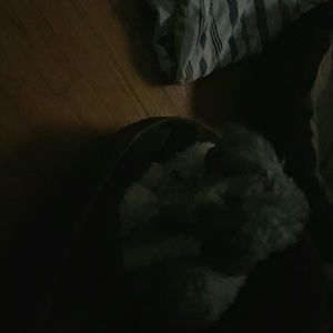 Meet your Posher, Teresa