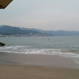 Meet your Posher, Patti