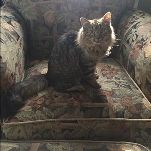 Meet your Posher, Laura