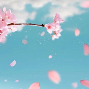 Meet your Posher, Christyn