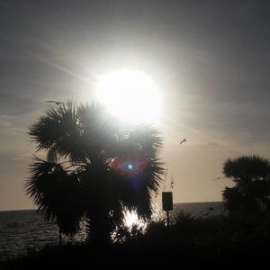 Meet your Posher, Bobbie jo