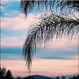 Meet your Posher, Jo-ann