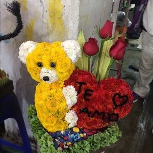 Meet your Posher, Carolina