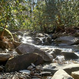 Meet your Posher, Rebekah