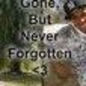 Meet your Posher, Ant