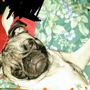 Meet your Posher, Flor