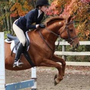 Meet your Posher, Maire