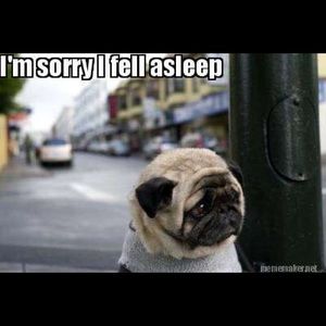 Meet your Posher, Lisette