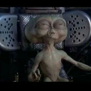 Meet your Posher, Marsallas