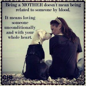 Meet your Posher, Robin