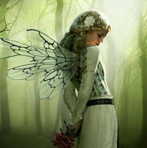 Meet your Posher, Judy