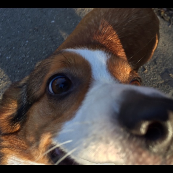 Meet your Posher, Gigi