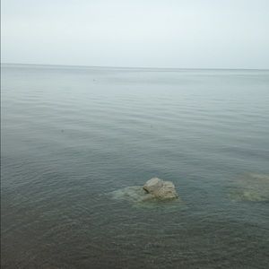 Meet your Posher, Shelby