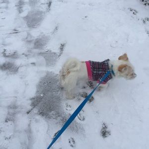 Meet your Posher, Jay