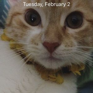 Meet your Posher, Ivette