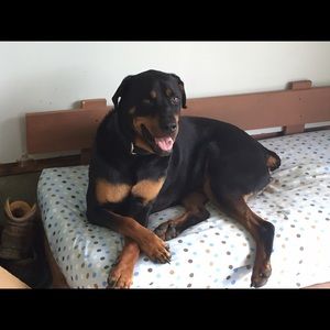 Meet your Posher, Shandra