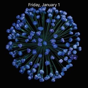 Meet your Posher, Judy