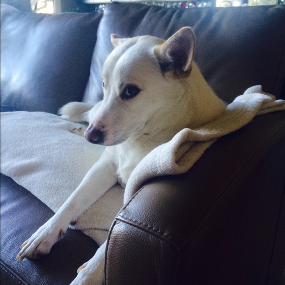 Meet your Posher, Lindsay