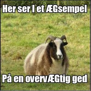 Meet your Posher, Jay