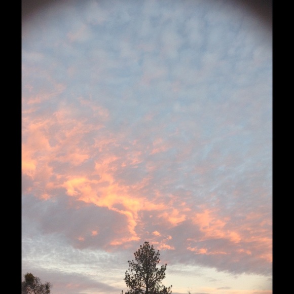 Meet your Posher, Isabela - Picture 1 of 1