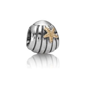 Pandora charm