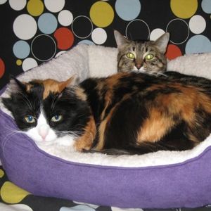 Meet your Posher, Krystal