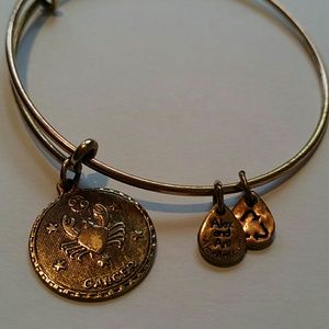 Alex and Ani bracelet