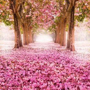 Meet your Posher, Tania