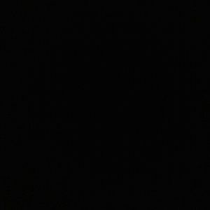 Meet your Posher, Pedro