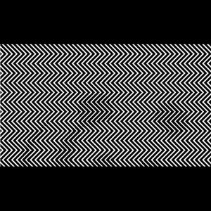 Meet your Posher, Bianet