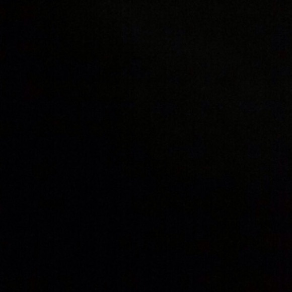 Meet your Posher, Nell