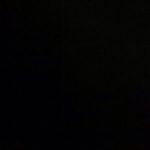 Meet your Posher, Nell