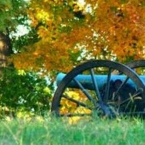 Meet your Posher, Fred