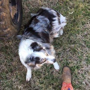 Meet your Posher, Jamie