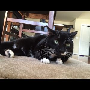 Meet your Posher, Gianna