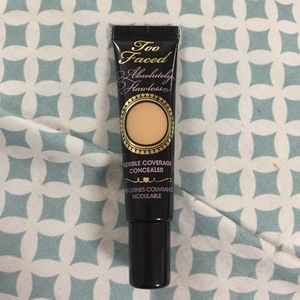 Too Faced Absolutely Flawless Concealer