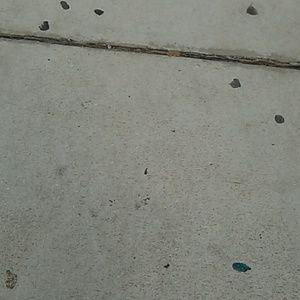 Meet your Posher, Natalia