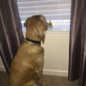 Meet your Posher, Lyndsey