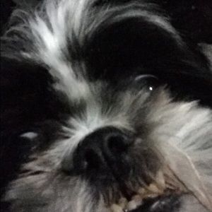 Meet your Posher, Gabby