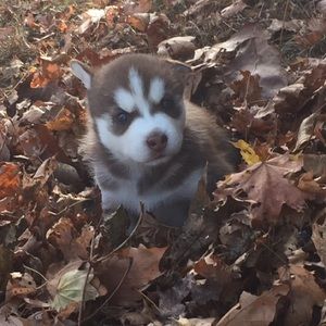 Meet your Posher, Marykate