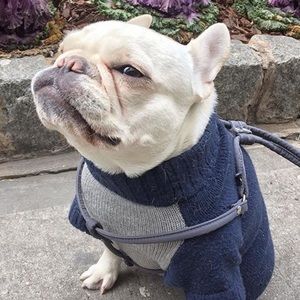 Meet your Posher, Alexander