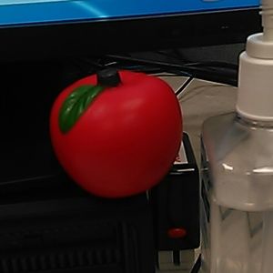 Meet your Posher, Monica