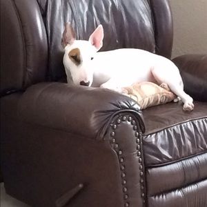 Meet your Posher, Sara