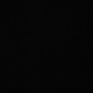 Meet your Posher, Latisha