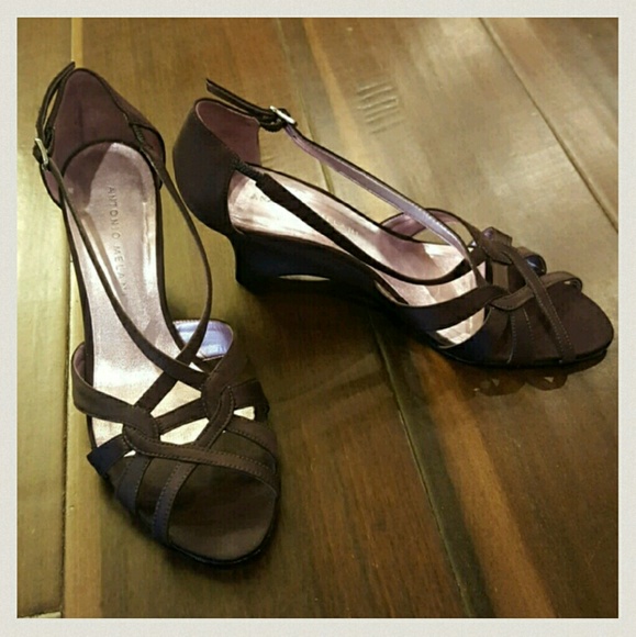Antonio Melani eggplant wedges
