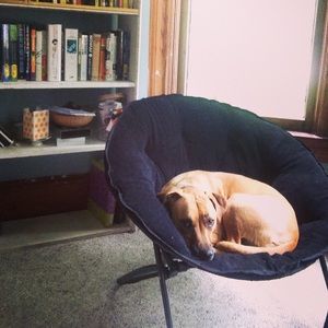 Meet your Posher, Haley