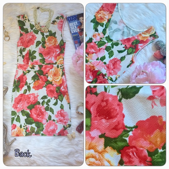 ROSA FIT MULTI COLOR FLORAL ROSE DRESS - Picture 2 of 5