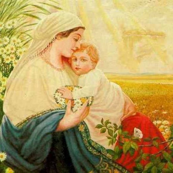 Meet your Posher, Rheldi - Picture 1 of 1